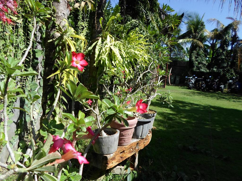 Отель Bali Aman Darling House Чангу Экстерьер фото