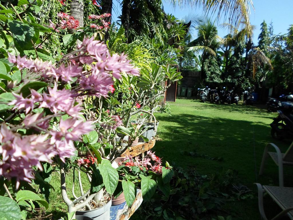 Отель Bali Aman Darling House Чангу Экстерьер фото